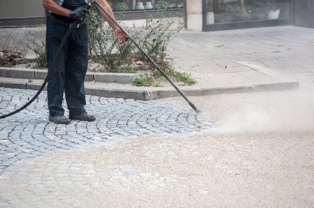 Best Concrete Sealing  in Benld, IL