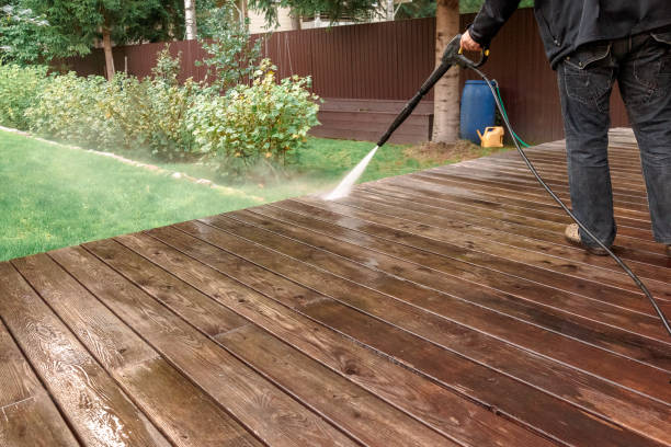 Animal Enclosure Cleaning in Benld, IL